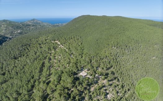 Ein großer Teil der Insel!