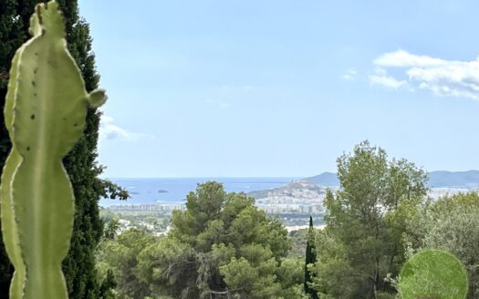 Ausblick
