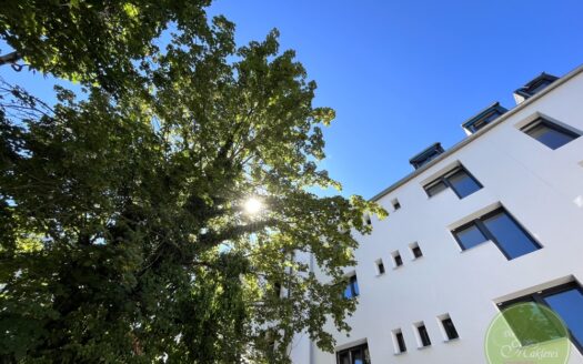 Herzlich wilkommen ...