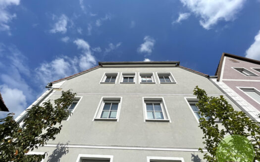 NEUbau analog Anno 1740