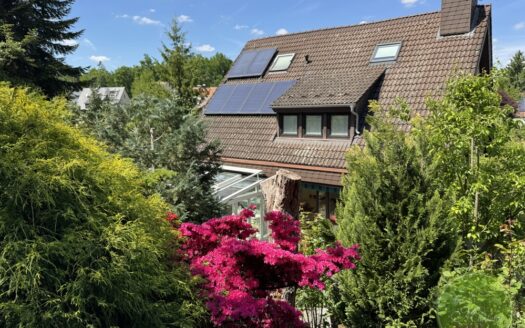 ... der vielen Perspektiven: