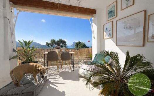 Terrasse mit Meerblick & Es Vedra