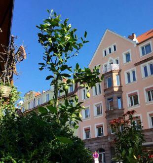 Bayern, Nürnberg, Nibelungen Viertel, Sanierter Altbau, 100 qm, Verkauf