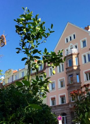 Bayern, Nürnberg, Nibelungen Viertel, Sanierter Altbau, 100 qm, Verkauf